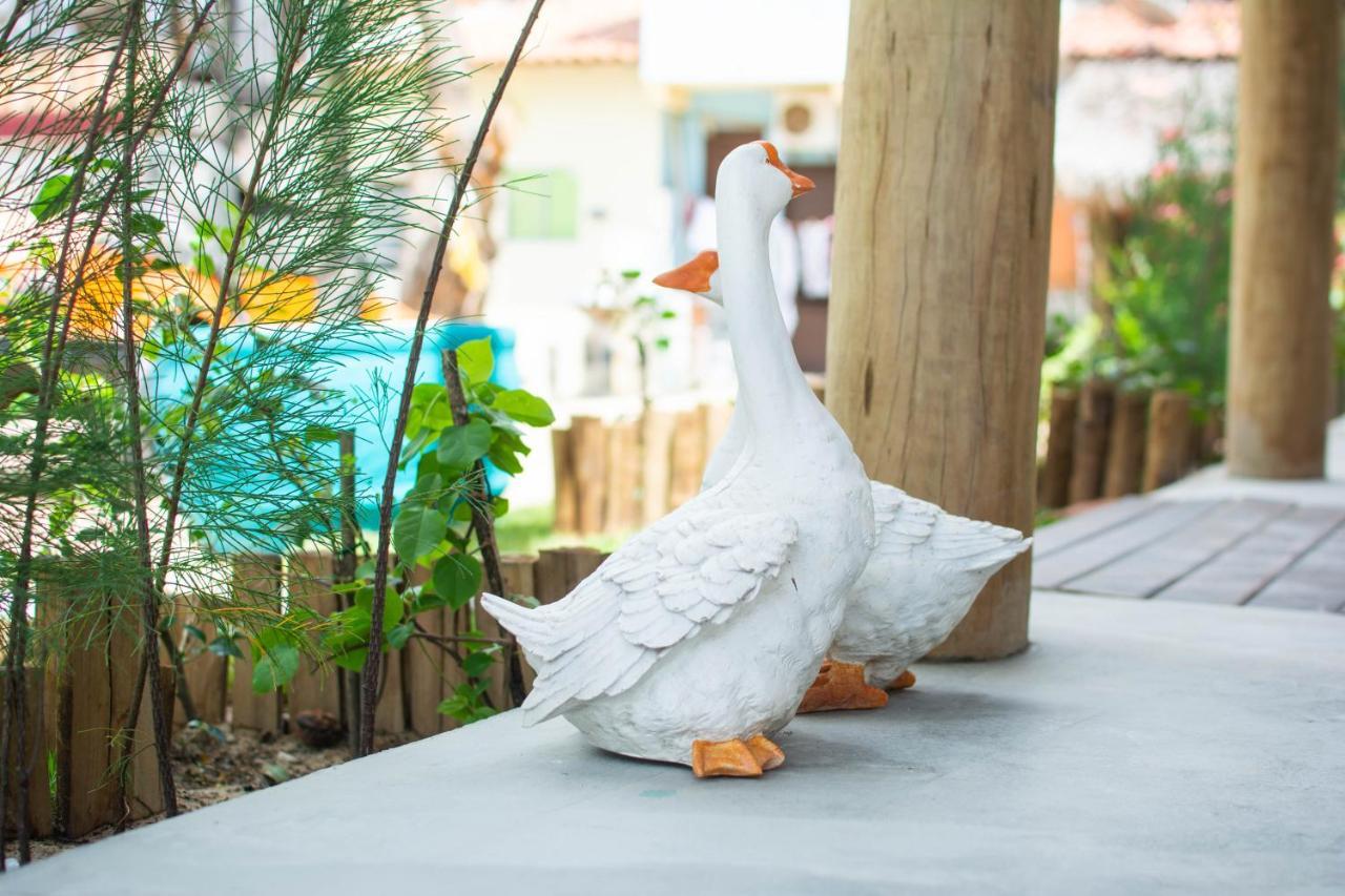 Villa Paihia Jericoacoara 외부 사진